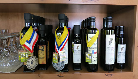 Preisgekrönte Olivenöle
