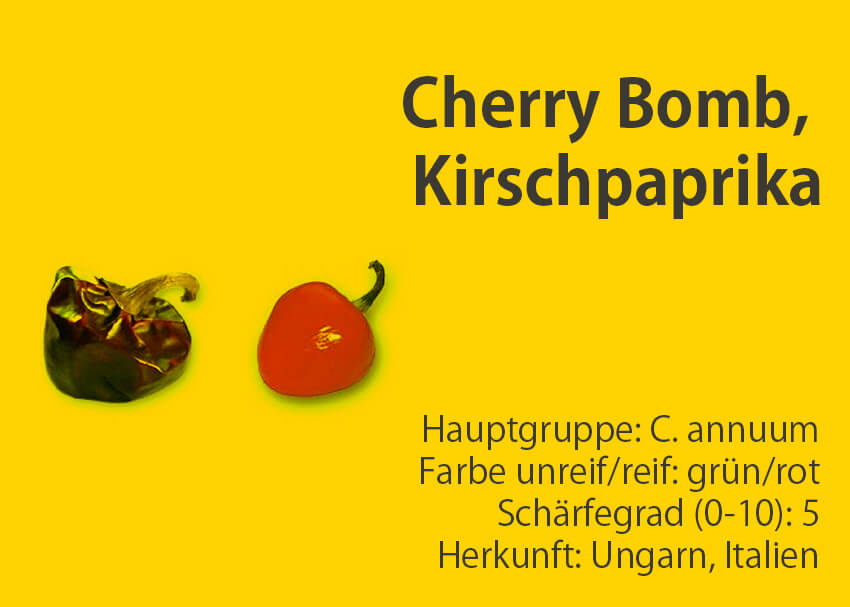 Cherry Bomb, Kirschpaprika </br> Chili-Sorte