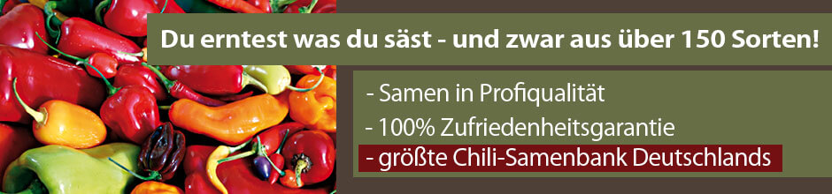 Chili Samen in Profiqualität kaufen!
