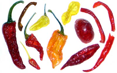 Sweet Heat: Kandierte Chili!