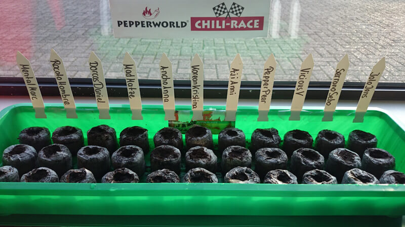 Chilis züchten im Büro: Die Startformation des Pepperworld Chili-Race