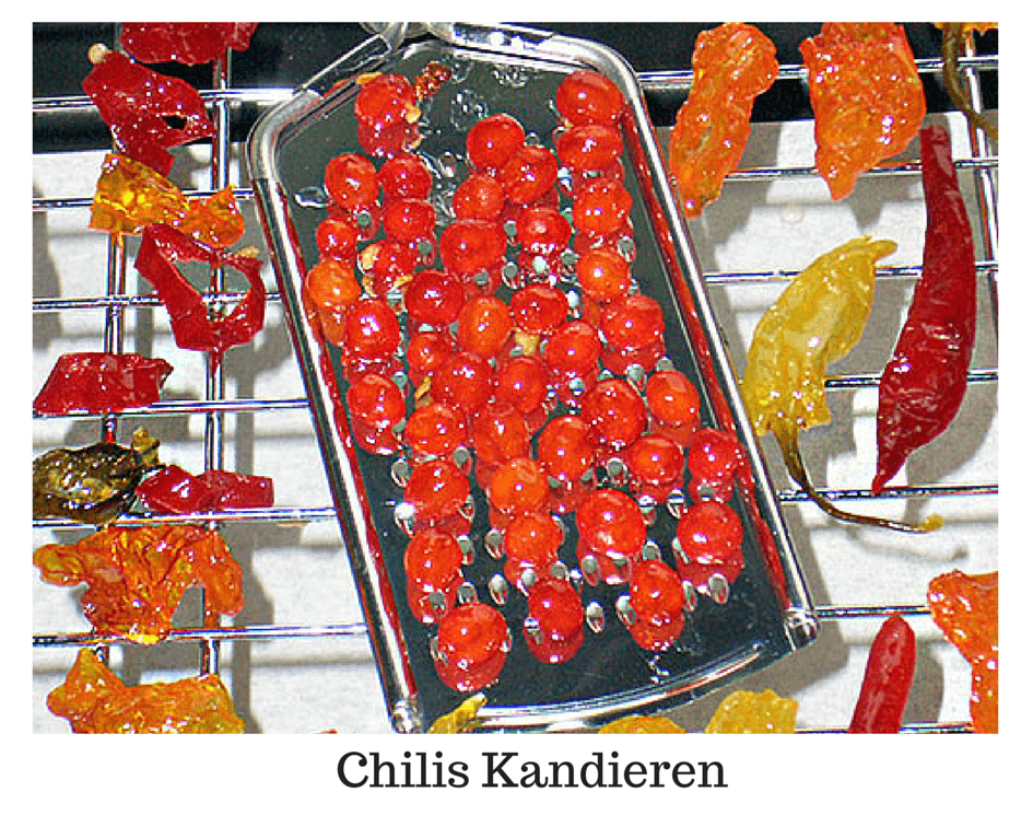 damenfahrrad 26 kaufen Rot 26