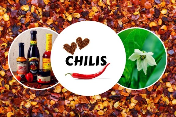 Der ultimative Chili Guide - Alles über Chilis, Peperoni & Co.