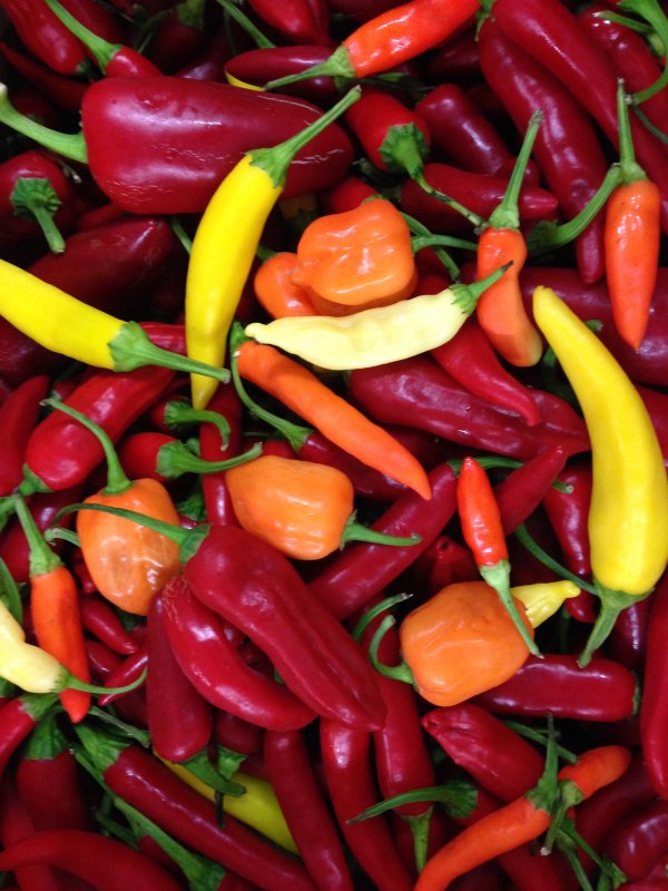 Chili Guide Sorten, Schärfe, Gesundheit & Rezepte Pepperworld