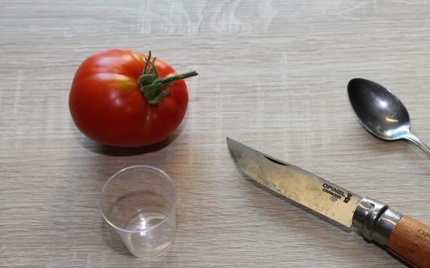 Tomatensaatgut ernten