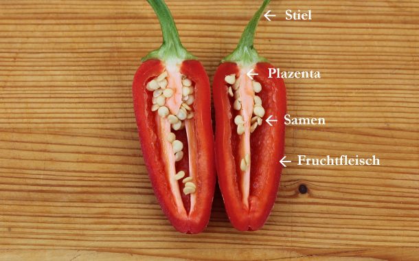 Woraus ergibt sich der Schärfewert bei Chilis