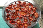 Tomaten dörren – so machst du getrocknete Tomaten selbst