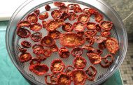 Tomaten dörren – so machst du getrocknete Tomaten selbst
