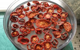 Tomaten dörren – so machst du getrocknete Tomaten selbst