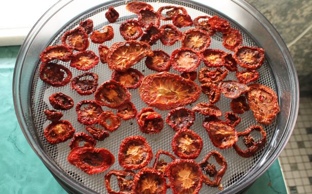 Tomaten dörren – so machst du getrocknete Tomaten selbst